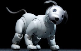 Sony Launches New AIBO Robot Dog as It Revives Pet AI Project